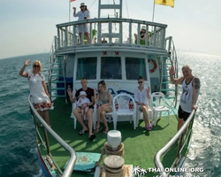 Pattaya Bay Cruise тур на острова Таиланда в Паттайе - фото 648