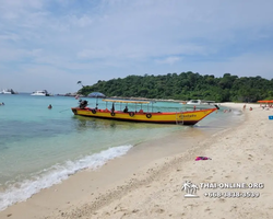 Pattaya Bay Cruise тур на острова Таиланда в Паттайе - фото 421