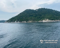 Pattaya Bay Cruise тур на острова Таиланда в Паттайе - фото 367