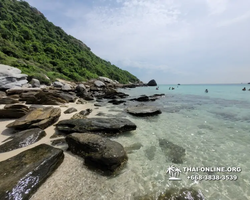 Pattaya Bay Cruise тур на острова Таиланда в Паттайе - фото 377