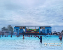 Тур в Columbia Pictures Aquaverse аквапарк Тайланд Паттайя фото 68