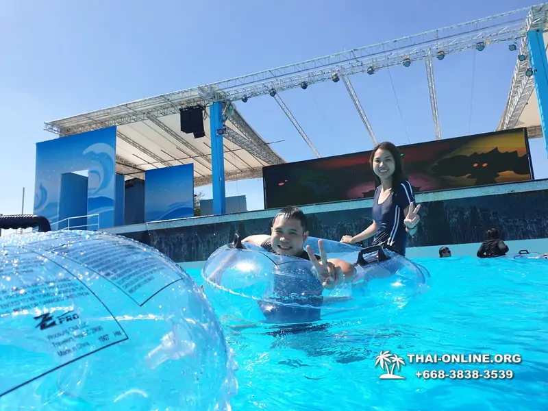 Тур в Columbia Pictures Aquaverse аквапарк Тайланд Паттайя фото 215