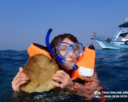 5 Островов морская экскурсия на Ко Лым в Паттайе Тайланде - фото 156