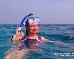 Морской тур Пять Островов Паттайи Таиланд - фото 163