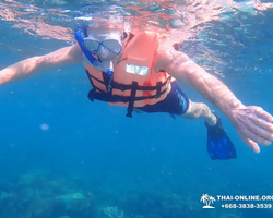 5 Островов морская экскурсия на Ко Лым в Паттайе Тайланде - фото 201