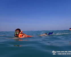 Морской тур Пять Островов Паттайи Таиланд - фото 269