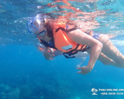 Морской тур Пять Островов Паттайи Таиланд - фото 167