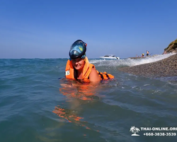 Морской тур Пять Островов Паттайи Таиланд - фото 247