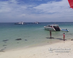 Морская экскусионная программа Мадагаскар Лайт в Паттайе - фото 1067