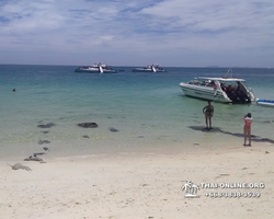 Морская экскусионная программа Мадагаскар Лайт в Паттайе - фото 970