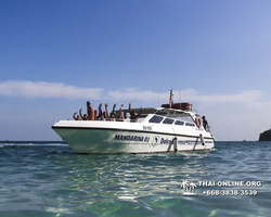 Морская экскусионная программа Мадагаскар Лайт в Паттайе - фото 1007