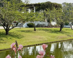 Вечерняя Аюттайя экскурсия из Паттайи в Таиланде - фото 393