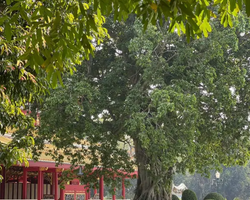 Вечерняя Аюттайя экскурсия из Паттайи в Таиланде - фото 381