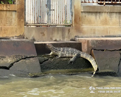 Экскурсия Вечер в Аюттайе из Паттайи Тайланд - фото 285