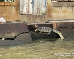 Экскурсия Вечер в Аюттайе из Паттайи Тайланд - фото 296
