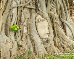 Вечерняя Аюттайя экскурсия из Паттайи в Таиланде - фото 389