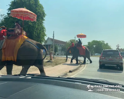 Вечерняя Аюттайя экскурсия из Паттайи в Таиланде - фото 169