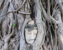 Экскурсия Вечер в Аюттайе из Паттайи Тайланд - фото 309