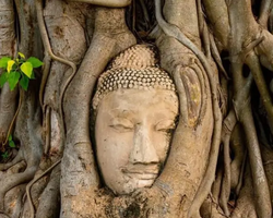 Вечерняя Аюттайя экскурсия из Паттайи в Таиланде - фото 411