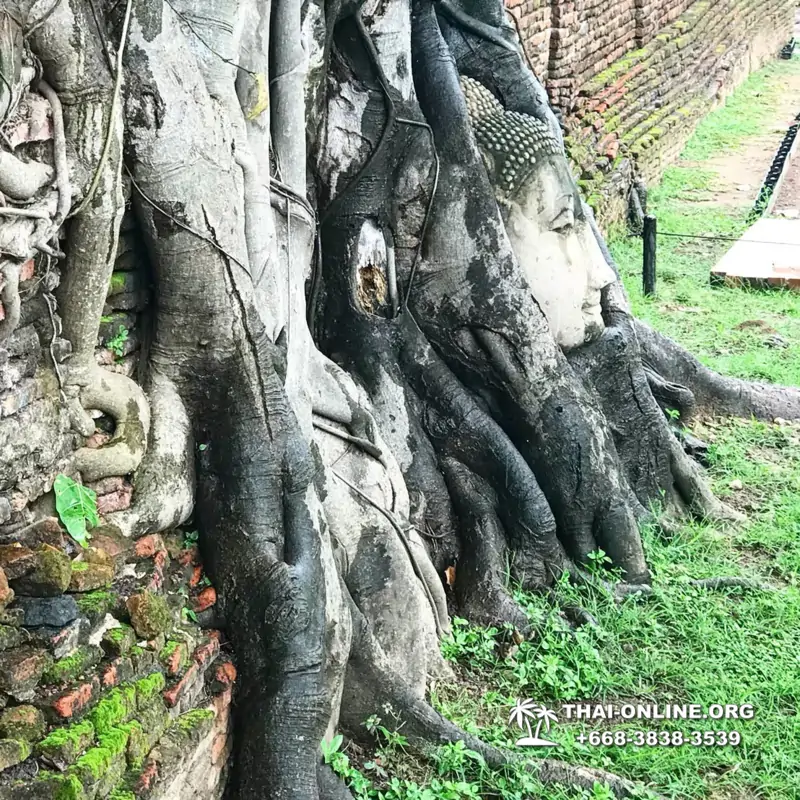 Вечерняя Аюттайя экскурсия из Паттайи в Таиланде - фото 2