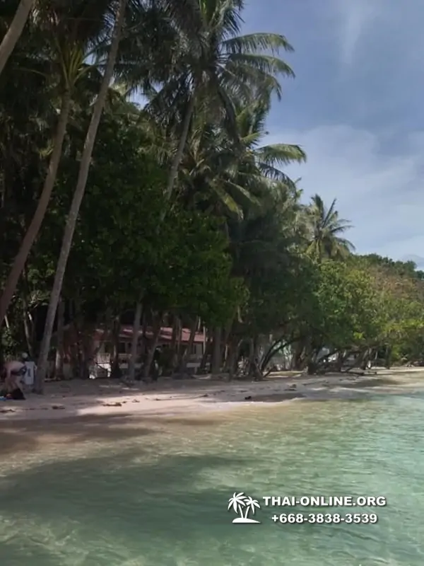 Экскурсия из Паттайи на Ко Чанг с отелем Coconut Beach Resort фото 113
