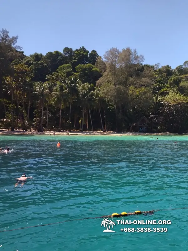 Экскурсия из Паттайи на Ко Чанг с отелем Coconut Beach Resort фото 73