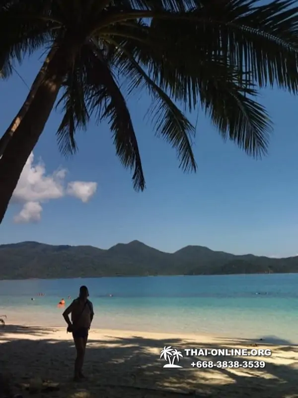 Экскурсия из Паттайи на Ко Чанг с отелем Coconut Beach Resort фото 146