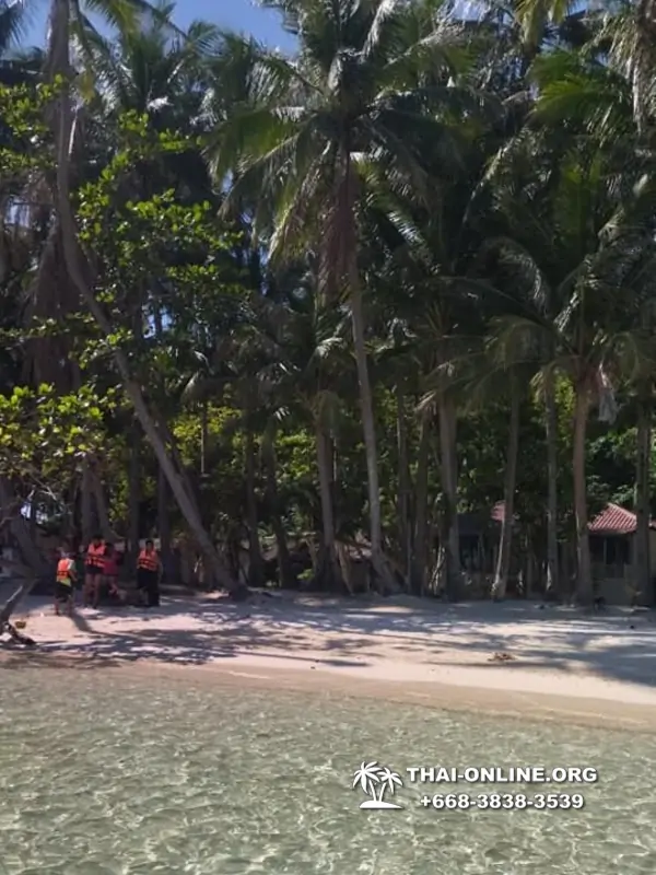 Экскурсия из Паттайи на Ко Чанг с отелем Coconut Beach Resort фото 63