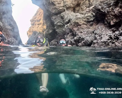Морское Дискавери экскурсия в Паттайе Таиланде - фото 118