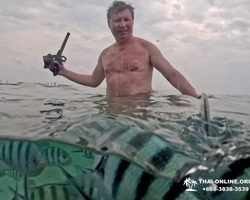 Морское Дискавери экскурсия в Паттайе Таиланде - фото 140
