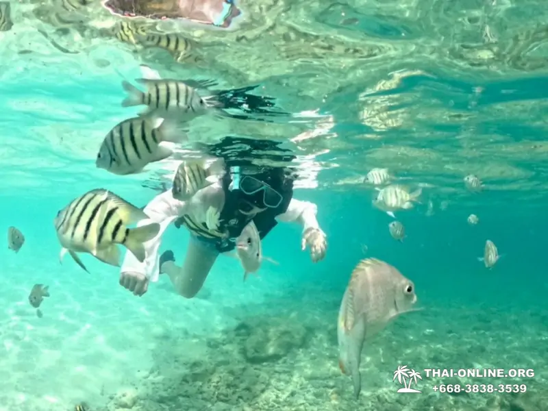 Морское Дискавери тур на тропические острова Тайланда - фото 15