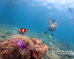 Экскурсия Подводная Одиссея в Паттайе Таиланд фото 45