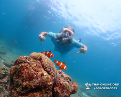 Подводная Одиссея тур Паттайя Тайланд фото 25