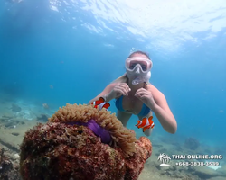 Подводная Одиссея тур Паттайя Тайланд фото 133