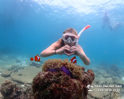 Экскурсия Подводная Одиссея в Паттайе Таиланд фото 108
