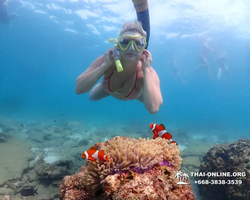Экскурсия Подводная Одиссея в Паттайе Таиланд фото 53