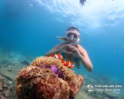 Подводная Одиссея тур Паттайя Тайланд фото 30