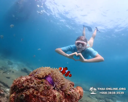 Подводная Одиссея тур Паттайя Тайланд фото 122