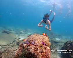 Подводная Одиссея тур Паттайя Тайланд фото 27