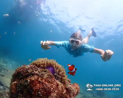 Экскурсия Подводная Одиссея в Паттайе Таиланд фото 107