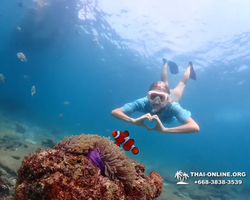 Подводная Одиссея тур Паттайя Тайланд фото 139
