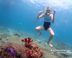 Подводная Одиссея тур Паттайя Тайланд фото 147
