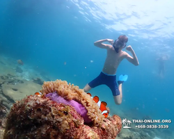 Подводная Одиссея тур Паттайя Тайланд фото 112