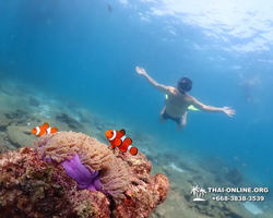 Экскурсия Подводная Одиссея в Паттайе Таиланд фото 86