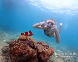 Экскурсия Подводная Одиссея в Паттайе Таиланд фото 54