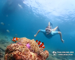 Подводная Одиссея тур Паттайя Тайланд фото 42