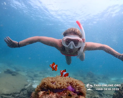 Подводная Одиссея тур Паттайя Тайланд фото 28