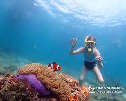 Подводная Одиссея тур Паттайя Тайланд фото 140