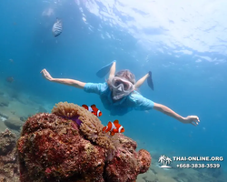 Подводная Одиссея тур Паттайя Тайланд фото 39