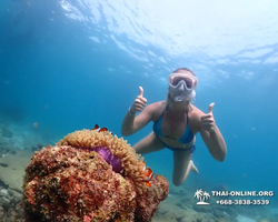 Подводная Одиссея тур Паттайя Тайланд фото 43